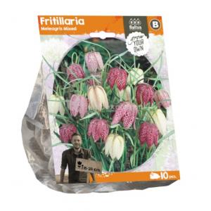 Baltus Fritillaria Meleagris Mixed bloembollen per 10 stuks